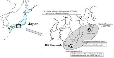 Therapeutic Strategies and Metal-Induced Oxidative Stress: Application of Synchrotron Radiation Microbeam to Amyotrophic Lateral Sclerosis in the Kii Peninsula of Japan